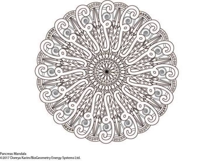 Biogeometry signatures mandalas coloring book