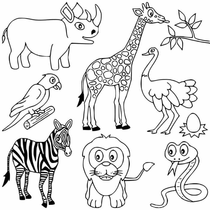 Aferican animals coloring pages