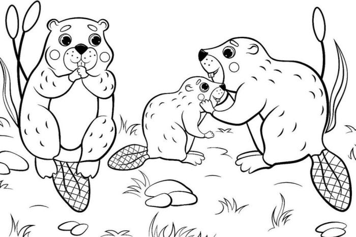 Free printable north american animals coloring pages