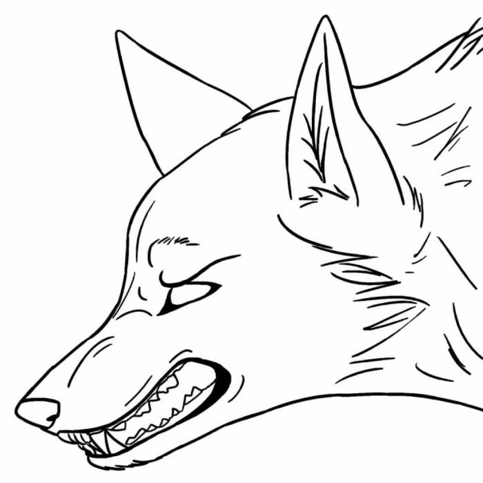 Cool anime wolf coloring pages