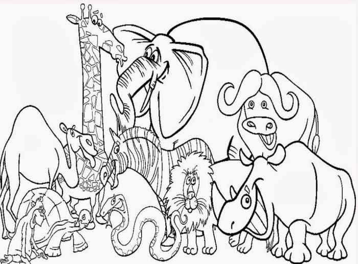 Cute zoo animal coloring sheets