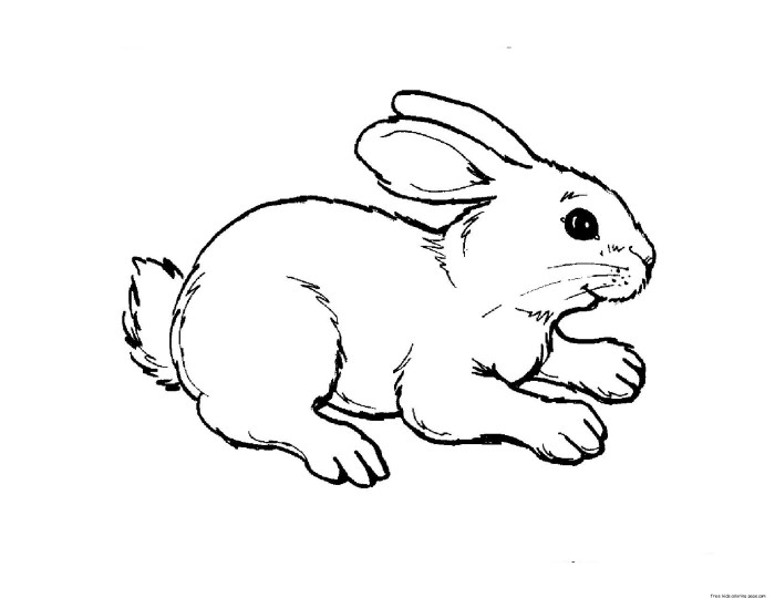 Coloring pages printable free animals