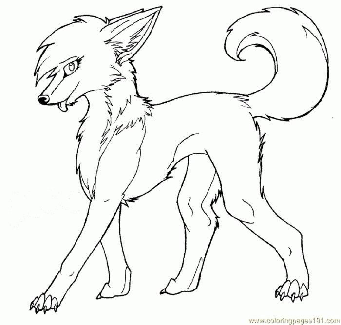 Firewolf anime wolf coloring pages