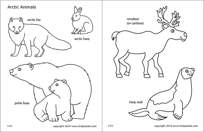 Free coloring pictures of arctic animals