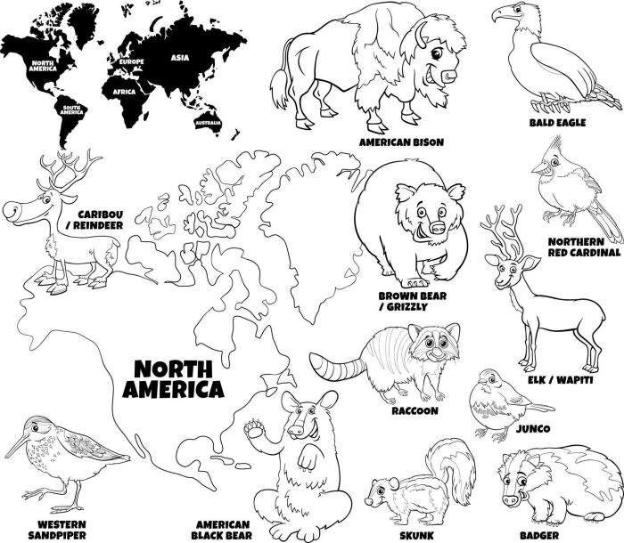 Free printable north american animals coloring pages