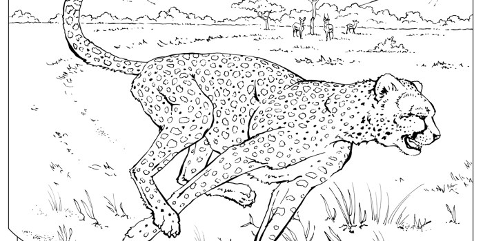 Free coloring pages uni animals