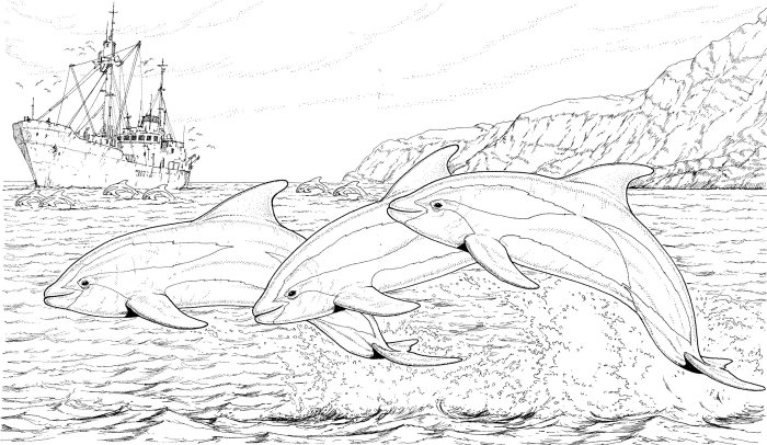 Animal coloring pages dolphin