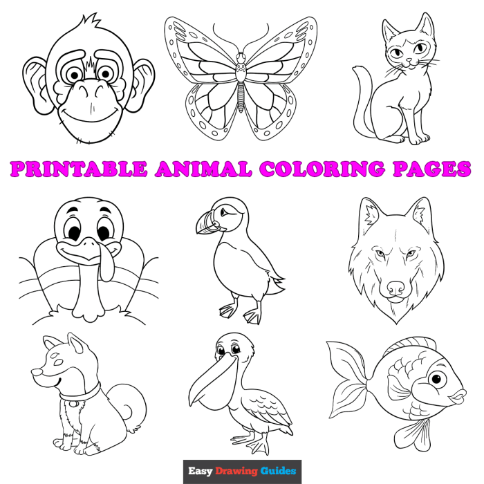 Detailed coloring pages printable animals