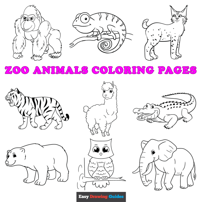 Easy pattern coloring pages of animal