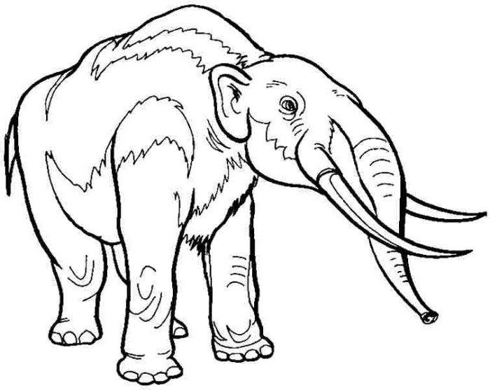 Extinct animals coloring sheets