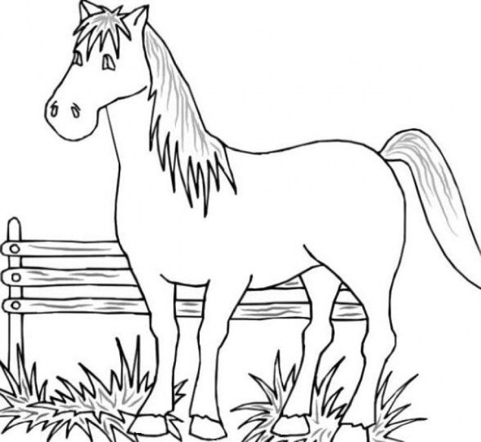 Free printable coloring pictures of farm animals