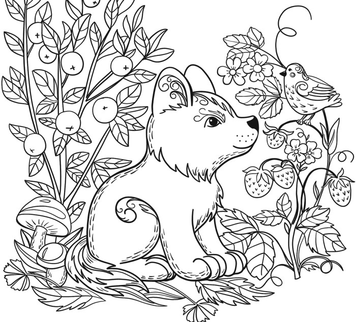 Elementary animal coloring pages