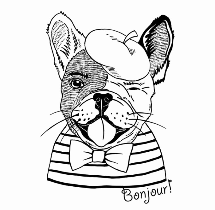 French coloring pages animals