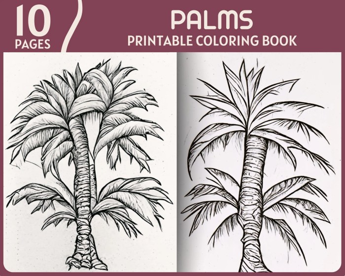 Coloring book palm tree