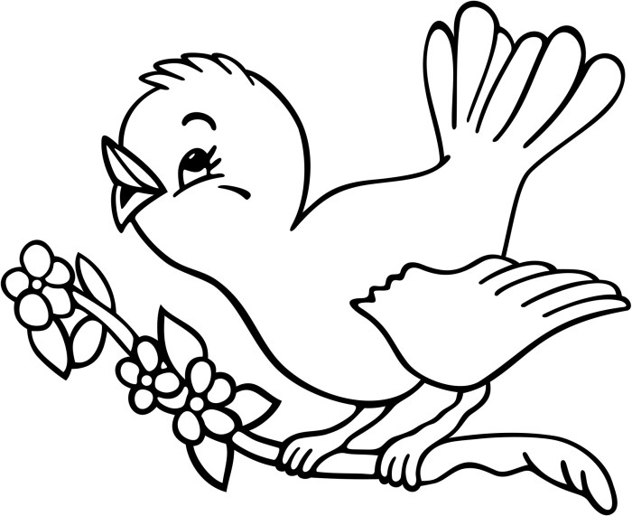 Coloring pages of animated birds