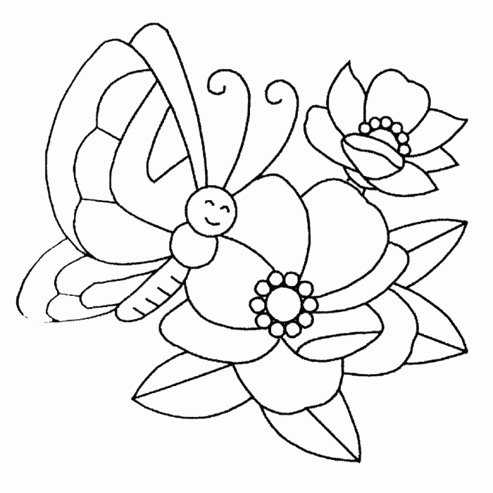 Butterflies and flowers coloring book